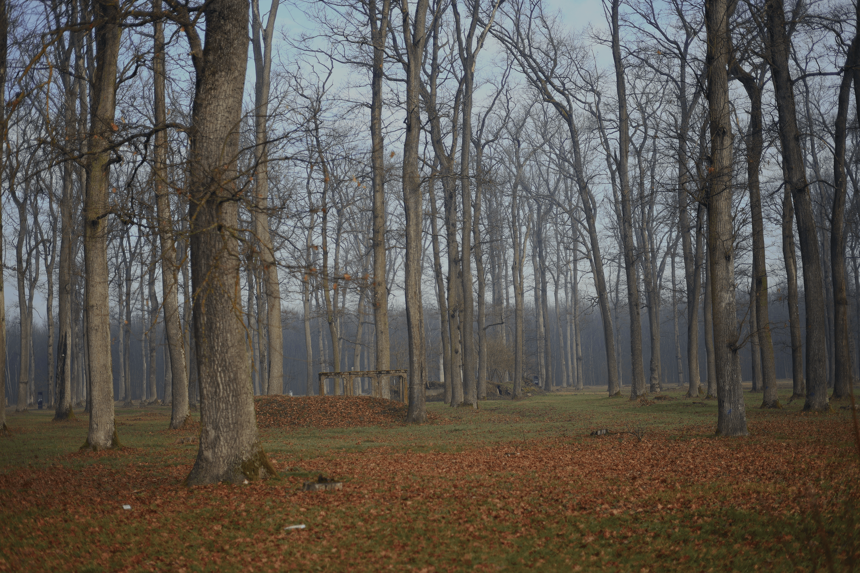 Gradski Muzej Bjelovar Spomen-muzej Barutana